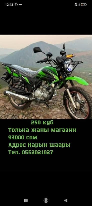 урал 131: Эндуро 110 куб. см, Бензин, Взрослый — 4
