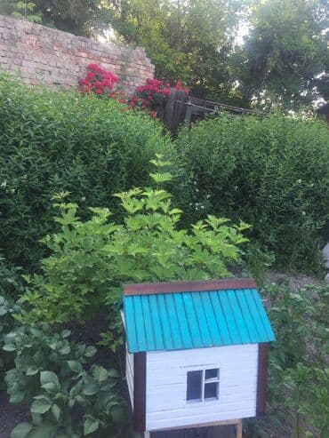 манеж игравой: Домик советский. Р-43•40•32 — 5