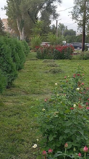 куплю участок: Куплю участок или дачу с выходом на речку в верхней части города — 1