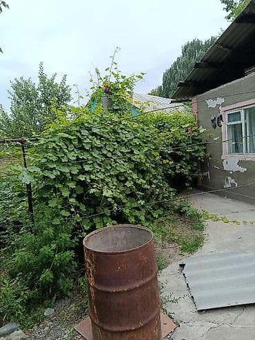 гараж кирпичный: Продаётся жилой дом с большим приусадебным участком и садом. - Дом — 6