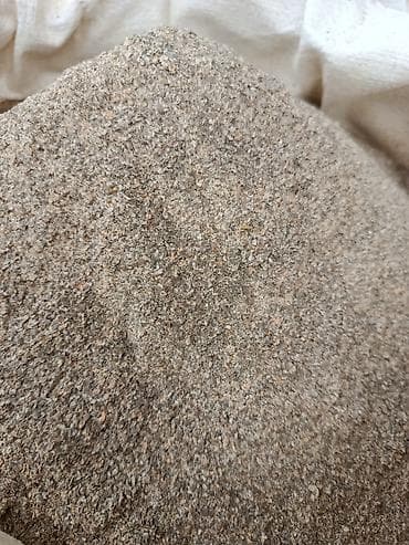 Чечевица мучка 18 сом/кг. Чечевица