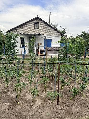 жм восток: Продаётся дачный участок с кирпичным домиком и ухоженным огородом — 3