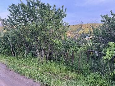 загородный дом для летнего отдыха: 7 соток, Для строительства, Генеральная доверенность, Красная книга, Тех паспорт — 3