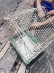 купить клетку для декоративного кролика бу: Клетка для птичек — 6