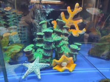 аквариумная рыбка: Новые украшения для оформления красивых аквариумов — 9