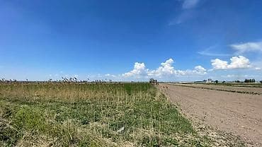 браво городок: 600 соток, Для бизнеса, Договор купли-продажи — 8