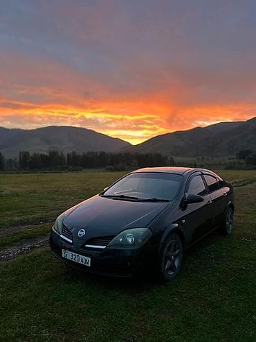 mazda 3 2004: Nissan Primera: 2003 г., Седан — 1