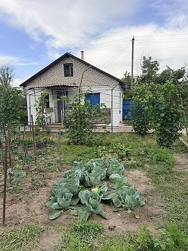 жм восток: Продаётся дачный участок с кирпичным домиком и ухоженным огородом — 1
