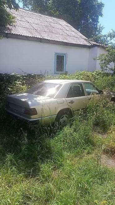 Mercedes-Benz W124: 1989 г., 2.3 л, Механика, Бензин, Седан — 2