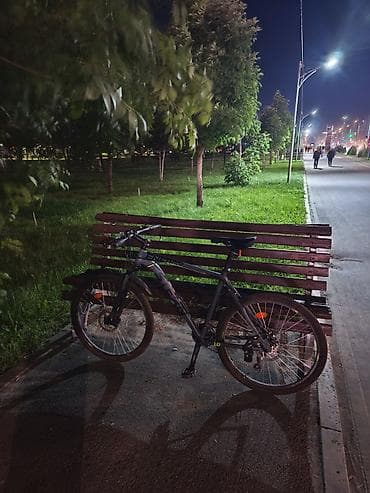 speedone frame: Горный велосипед, Алюминий — 1