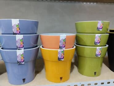 цветы в горшках цена: Распродажа горшков от 180 сом. Большой выбор горшков для ваших цветов — 14
