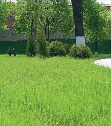 🌿 Газон 🌿 Посев газона 🌿Сеем газон 🌿 Ландшафтный дизайн 🌿