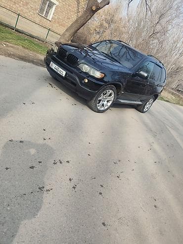 BMW: BMW X5: 2003 г., 3 л, Автомат, Дизель, Кроссовер — 1