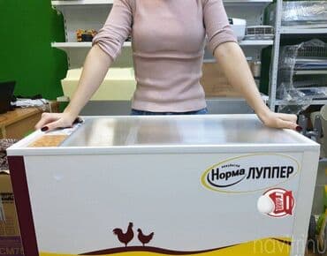 мини оборудование для производства яичных лотков: Инкубатор норма луппер бишкек сатылат жаны заводской bigfarm дукону — 3