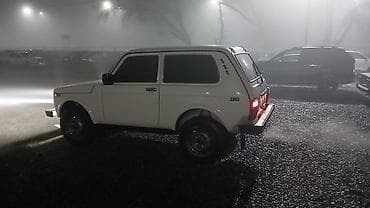 сди матор: ВАЗ (ЛАДА) 4x4 Нива: 2002 г., Механика, Бензин, Внедорожник — 8