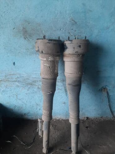 Пнейвма задный 221 мерседес