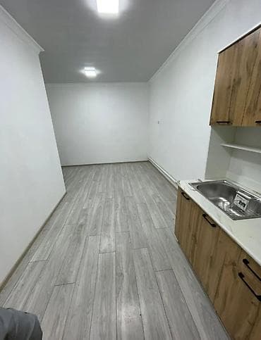 Батирлер: 1 бөлмө, Кыймылсыз мүлк агенттиги, Чогуу жашоосу жок, Жарым -жартылай эмереги бар — 4