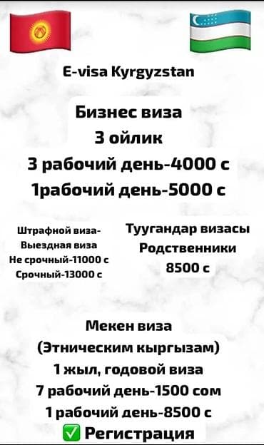 Эмерек: Услуги по получению виз Кыргызстана/въездных документов для выезда в — 2