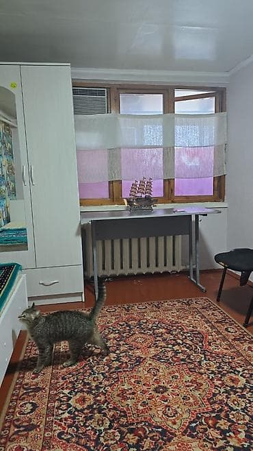 сдаю балыкчы: Срочна сдаётся комната район восток 5 - Уютная спальня: односпальная — 10