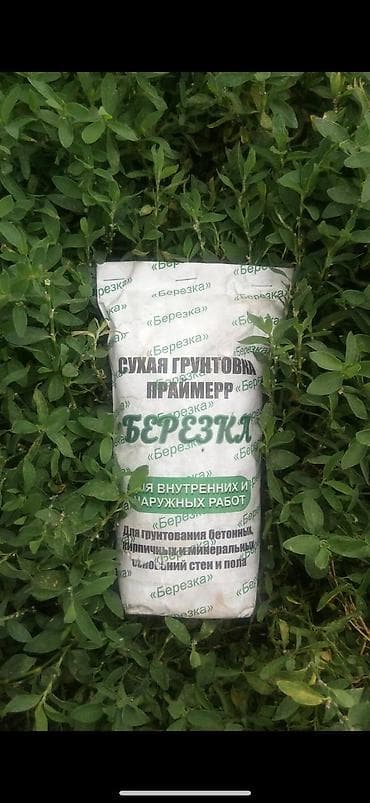 сух: Линия для производства и фасовки сухих строительных смесей + сухая — 2