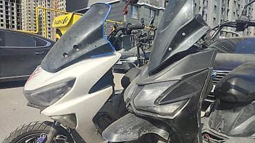 для мух: Honda — 1