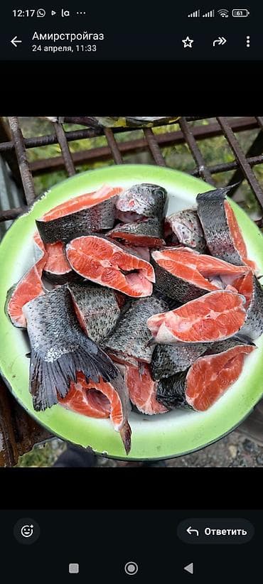 малёк рыба: СРОЧНО❗ Форель только ОПТОМ,вкус и качество всё супер,нигде не — 3