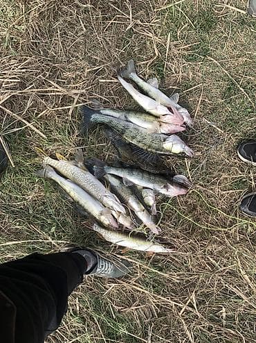 Охота и рыбалка: Спиннинг Favorite X1-802M 2.51 125г 7-21g Fast (2 поколение ) — 10