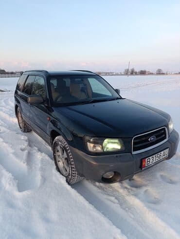 Продажа авто: Subaru Forester: 2003 г., 2 л, Автомат, Бензин, Универсал — 1