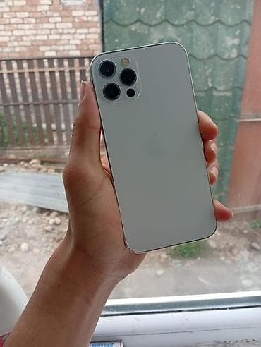 ipad mini 1: IPhone 12 Pro, 256 ГБ, Серебристый — 1