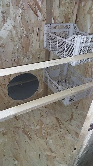 клетки для цыплят: 🔥🔥🔥Цена от 15.000 и выше смотря какая начинка и размеры Курятник с — 6