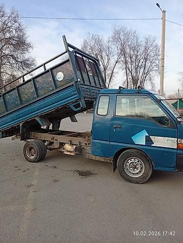 хара: Сатам | Бука (эркек) | Бордоп семиртүү үчүн | Асыл тукумдуу — 9