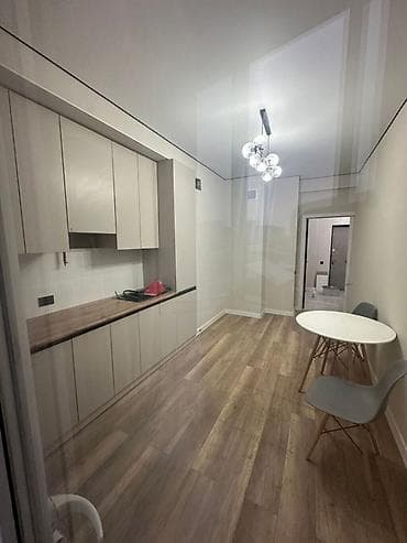 elite hause: 1 комната, 45 м², Элитка, 5 этаж, Евроремонт — 6
