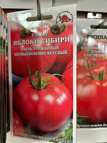 рассада помидор купить: Семена помидоров по 25 сомов «Джина ТСТ» «Лонг кипер» «Янтарное — 5