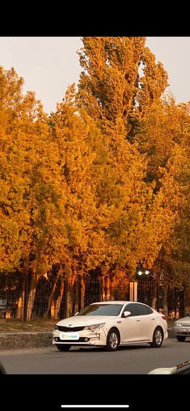 kia stringer: Kia K5: 2017 г., 2 л, Типтроник, Газ, Седан — 1