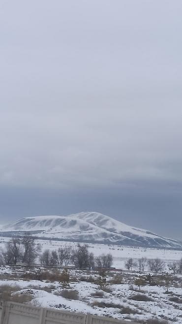 квартира сатам: Пилю деревья цена индивидуально! Пилю дровабревна 1500 - с/куб — 10