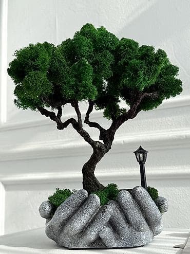 Декоративные деревья бонсай с натуральным стабилизированным мхом at lalafo.kg Декоративные деревья бонсай с натуральным стабилизированным мхом