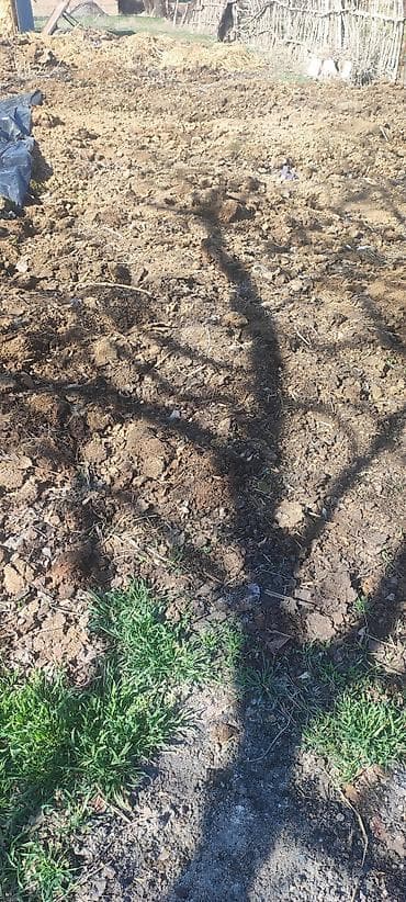 Торговое оборудование: Навос. Кык — 3