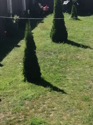 срочно продаю дом рухий мурас: Продаю гостевой дом 2-х этажный 450кв.м в Чон-Сары-Ой(15 минут на авто — 19