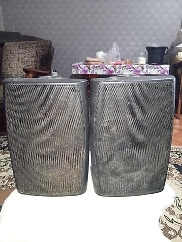 проставки под динамики: Пара настенных акустических колонок с сетчатыми металлическими — 4