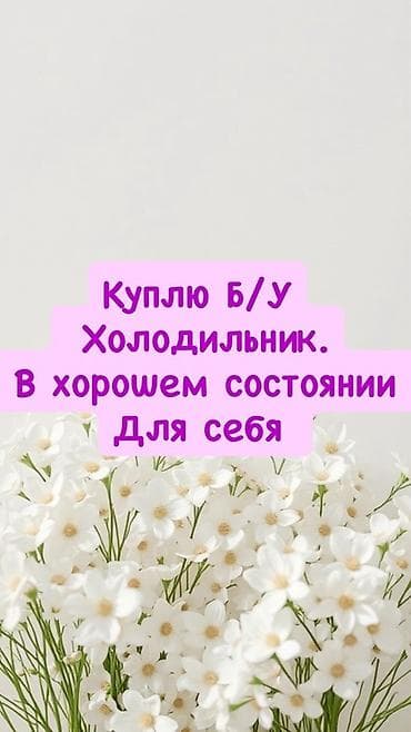 pro mozer: Куплю б/у холодильник. Ищу рабочий холодильник в хорошем состоянии — 1