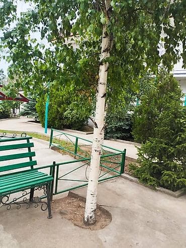 premium development: Продается готовый гостиничный бизнес на Иссык-Куле! 📍 Иссык-Кульская — 10