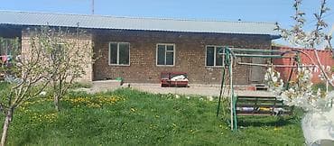 чолпон ата домик: 5 соток, Красная книга — 6