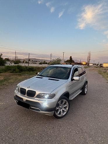 BMW X5: 2004 г., 4.4 л, Автомат, Кроссовер