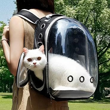 Зоотовары: Прозрачный рюкзак‑переноска для кошек и мелких животных - Внутри — 6