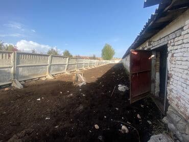 Үйдү ижарага алам: Үй, 80 кв. м, 3 бөлмө, Менчик ээси, Косметикалык оңдоо — 8