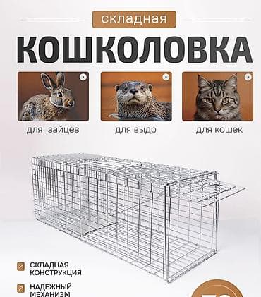 Кошколовка Складная живая ловушка для животных Возможна Аренда -