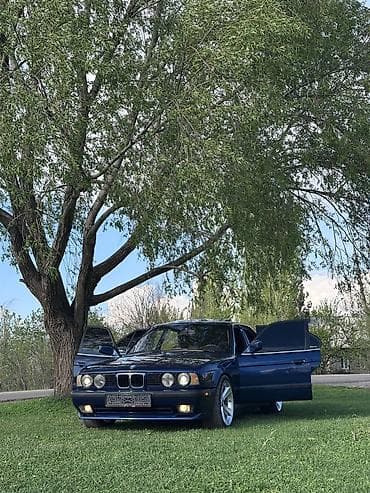 thermo king: BMW 5 series: 1988 г., Седан — 9