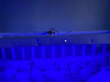 аренда лампа для лечения желтухи новорожденных: ‼️срочно продаю Фото лампа от желтухи. Покупали новый пользовались — 4