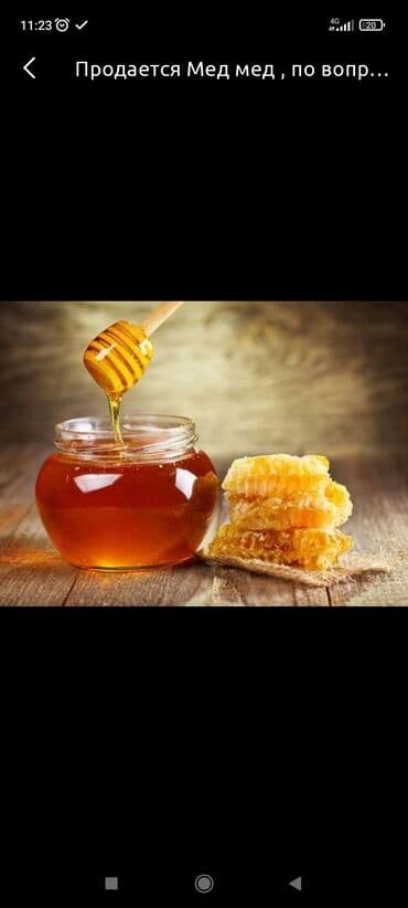 горячий клей цена бишкек: Бал сатылат кг 500сом, Жети Өгүздүн балы 
+ — 1