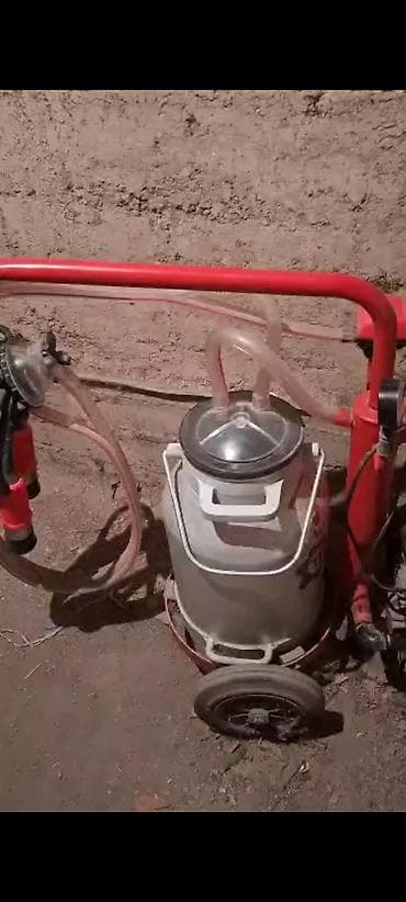 Доильный аппарат на тележке для коров/коз 1 ай колдонулган. Абалы өтө at lalafo.kg Доильный аппарат на тележке для коров/коз 1 ай колдонулган. Абалы өтө